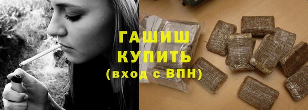 прущие грибы Пестово