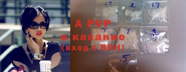 шишки Пересвет