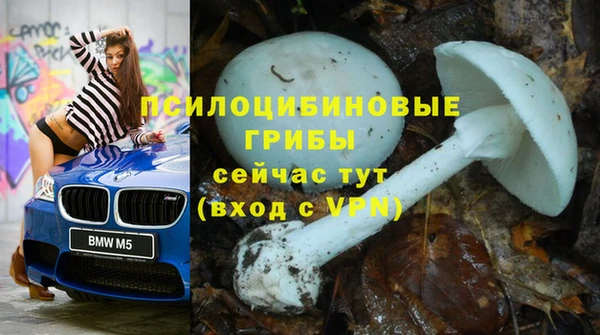 мдпв Белокуриха