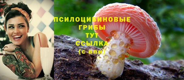 молекула духа Белоозёрский